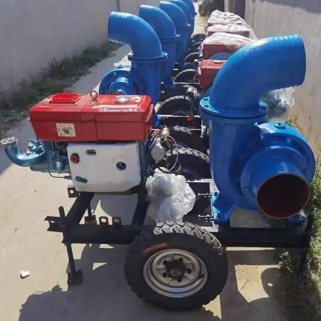 Dostosowana pompa wodna z siln – Diesel Water Pump recenzja i cena